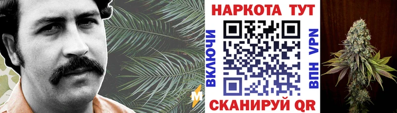 ГАШИШ Гаврилов Посад