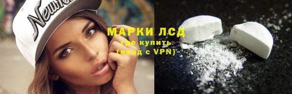 ECSTASY Магас