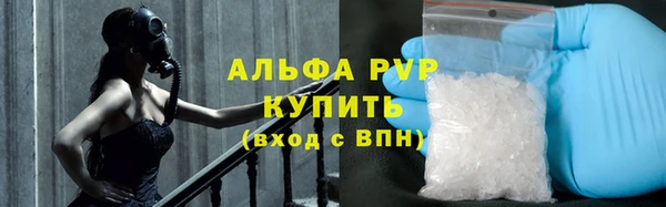 гашик Майский
