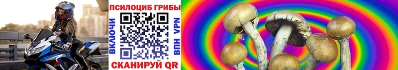 Псилоцибиновые грибы мицелий  Гаврилов Посад 